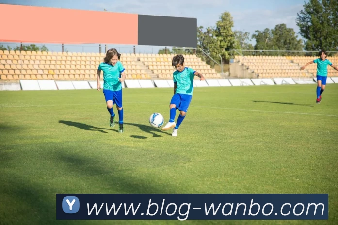 App Interface Preview