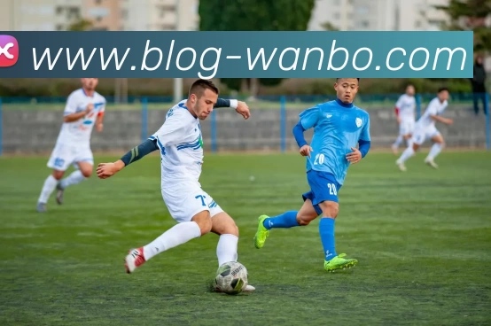 万博体育APP 封面图